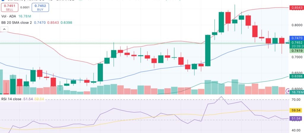 Cardano holds key support amid ADA misappropriation claims — will ADA crash when audit results are released? - 1