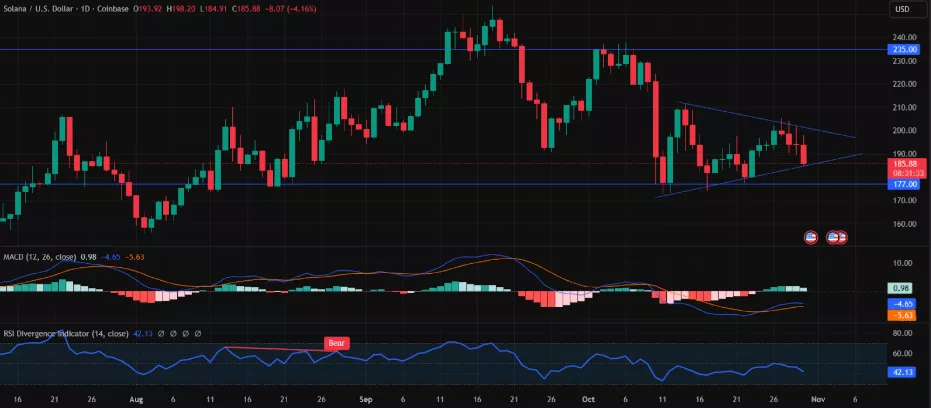 Solana chops at $195: Whales ape Digitap presale ahead of tier-1 listing - 2