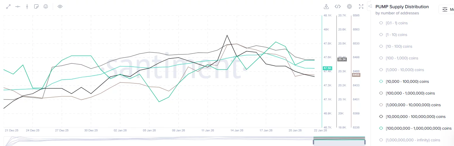 The number of whales holding 10,000 to 1 billion PUMP tokens have declined over this week. 