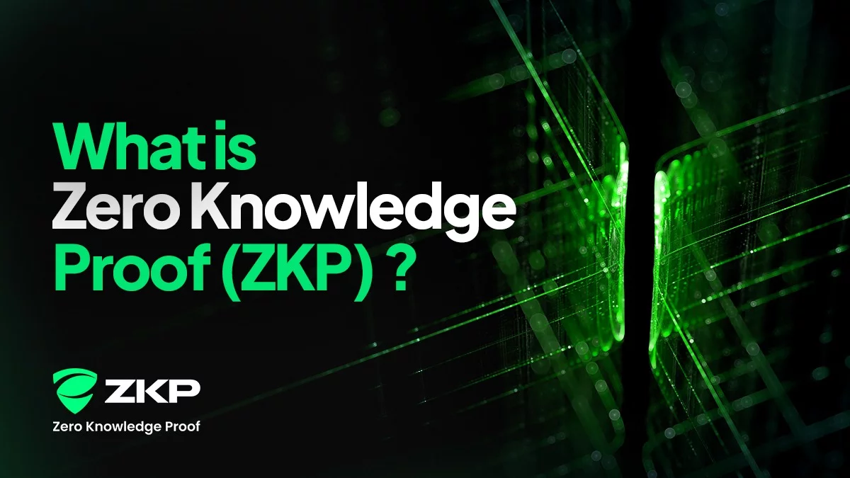 Zero Knowledge Proof: A complete guide to the privacy-focused layer 1 blockchain - 2